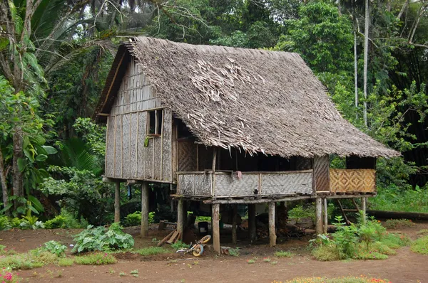 Casa na aldeia Papua Nova Guiné — Fotografia de Stock