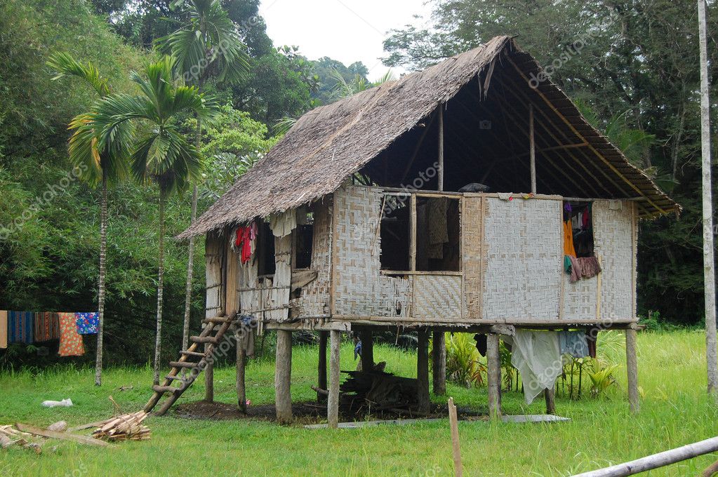 House in village Papua New Guinea — Stock Photo © danemo #11565368