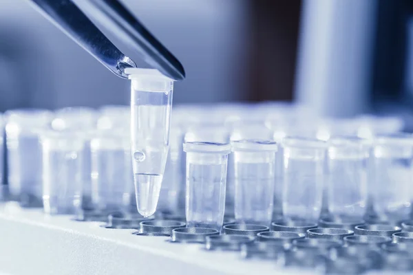 Laden von DNA-Proben für PCR — Stockfoto