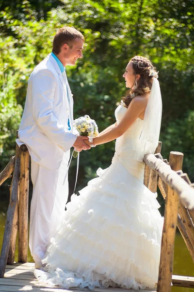 Wedding - happy couple holding by hands — Stock Photo, Image