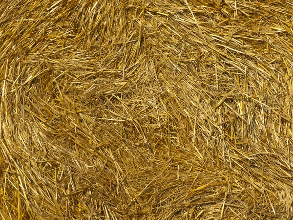 stock image Background from a straw