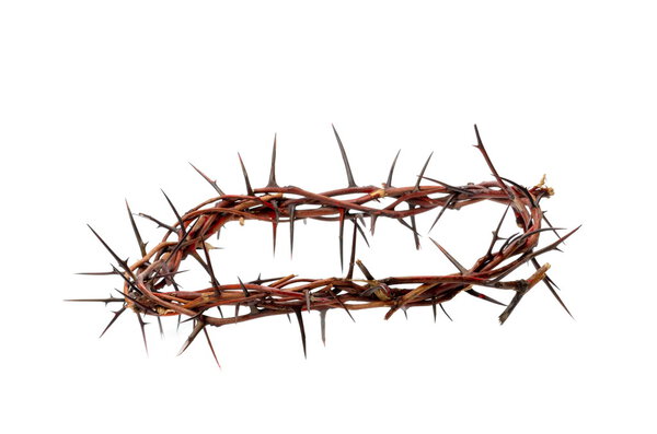 Crown made of thorns isolated on white background