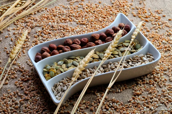Semi e frutti secchi di cereali — Foto Stock
