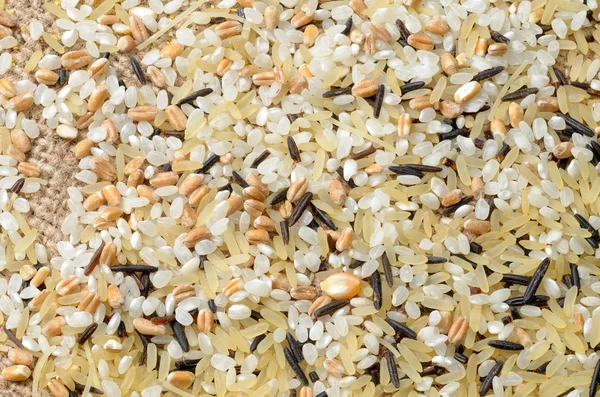 Fondo colorido de semillas de cereales — Foto de Stock