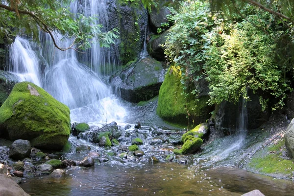 stock image Cascading