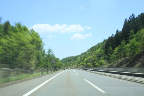 stock image Fresh green and road