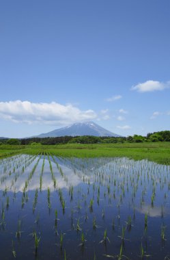 mt.iwate ve pastoral manzara