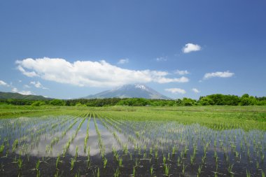 mt.iwate ve pastoral manzara