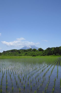 mt.iwate ve pastoral manzara