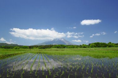 mt.iwate ve pastoral manzara