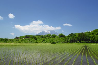 mt.iwate ve pastoral manzara