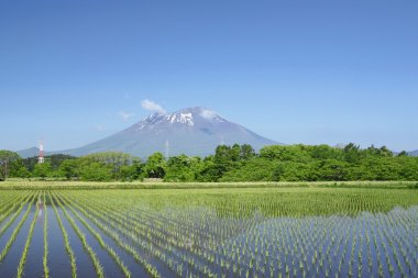 mt.iwate ve pastoral manzara