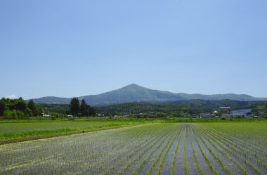 mt.himerkami ve pastoral manzara