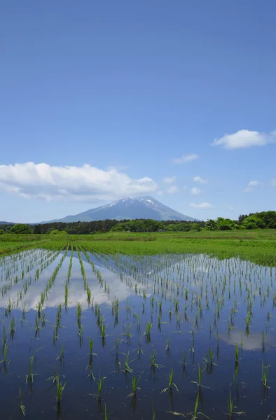 Monte Iwate y paisaje pastoral —  Fotos de Stock