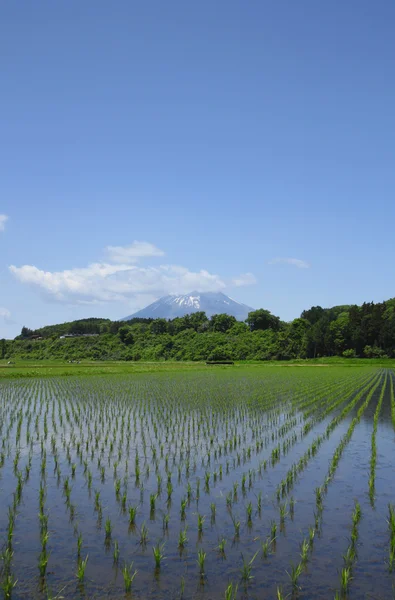 Mt.Iwate and pastoral landscape — Stock Photo, Image