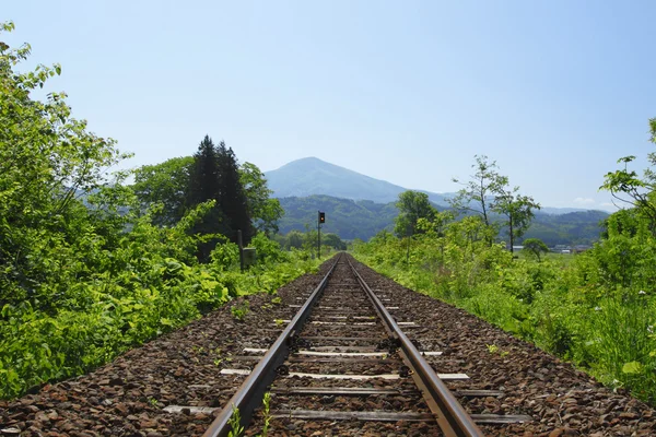 stock image Fresh green and railway