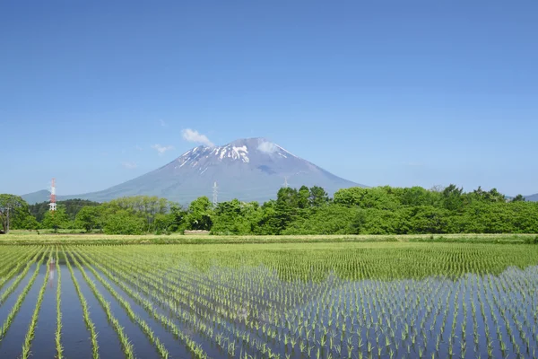 Mt.Iwate a pastorální krajiny — Stock fotografie