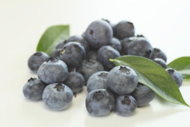 Blueberry kadar kapatır