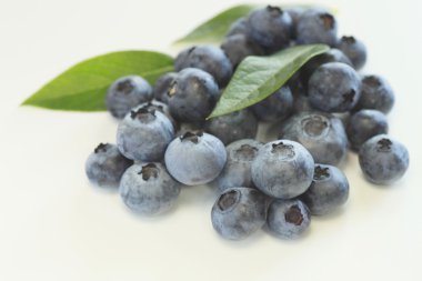 Blueberry kadar kapatır