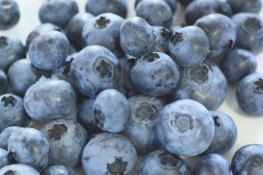 Blueberry kadar kapatır