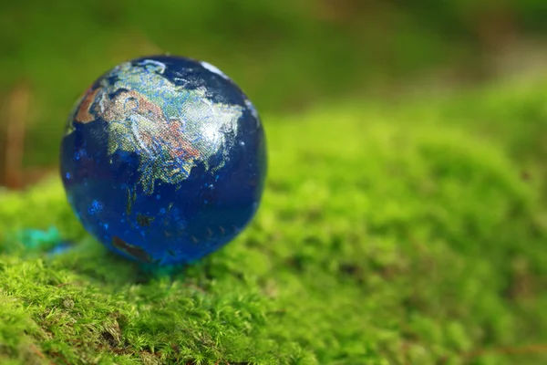 Moss and globe — Stock Photo, Image