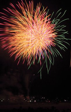 Fireworks in the night clipart