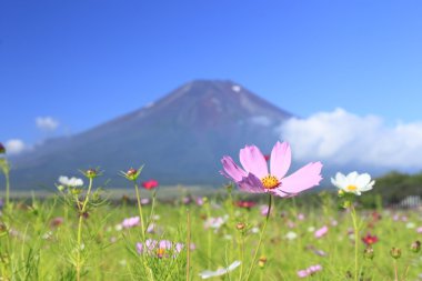 mt.Fuji ve evren