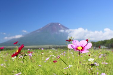 mt.Fuji ve evren