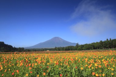 mt.Fuji ve evren