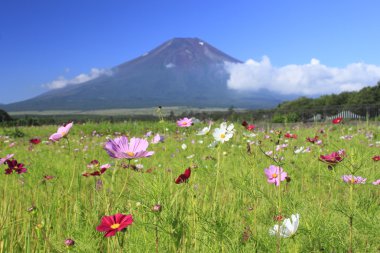 mt.Fuji ve evren