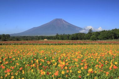 mt.Fuji ve evren