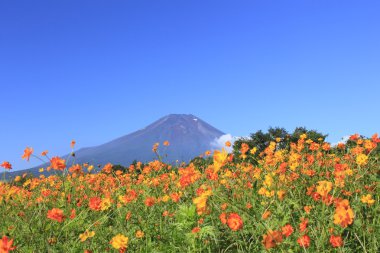 mt.Fuji ve evren