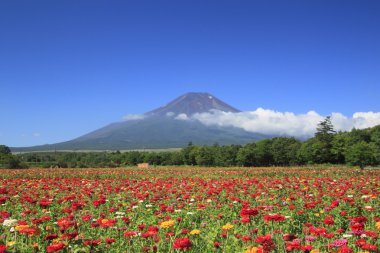 Mt.Fuji and Zinnia clipart