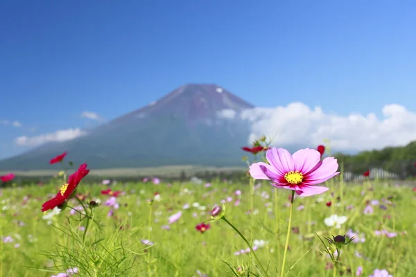 Mt.Fuji i kosmos — Zdjęcie stockowe