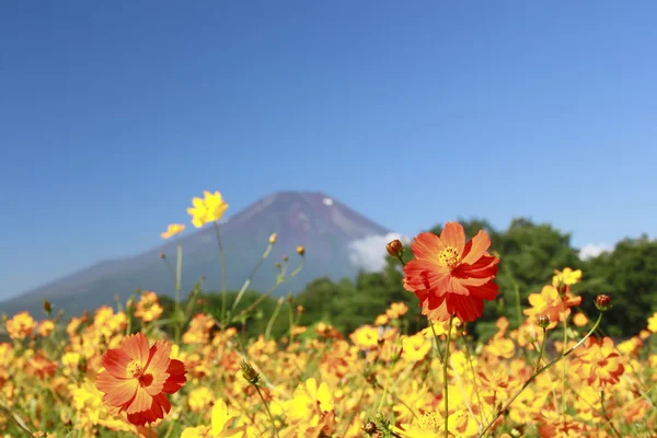 MT.Fuji και του σύμπαντος — Φωτογραφία Αρχείου