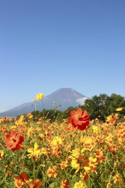 mt.Fuji ve evren