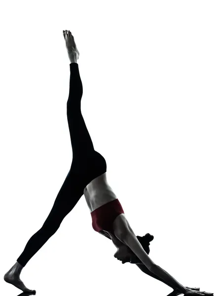 Egzersiz Yoga adho mukha svanasana kadın — Stok fotoğraf
