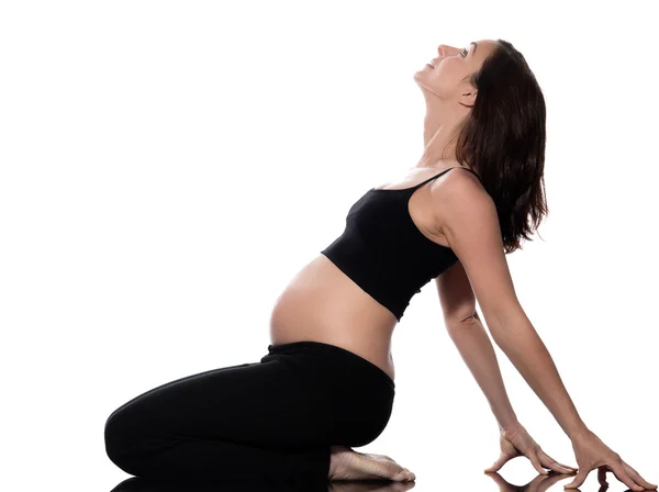 Těhotná žena, protahovací cvičení — Stock fotografie