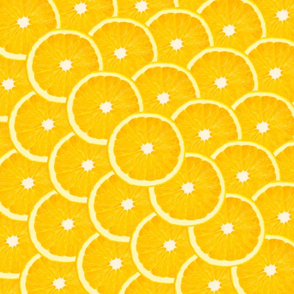Collage från en uppsättning av citrusfrukter — Stockfoto