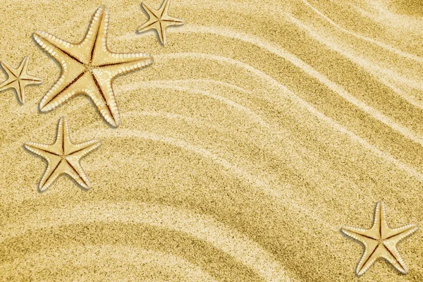 Starfishes em areia de praia — Fotografia de Stock
