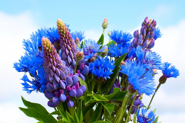 stock image Cornflower and lupines bouquet