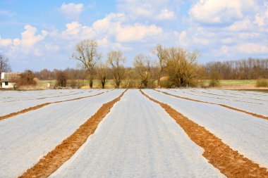 veld bedekt met polyethyleen slick