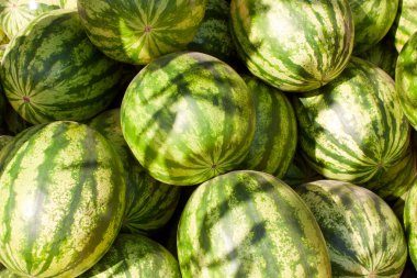 Heap of watermelons clipart