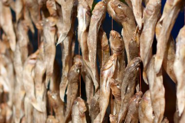 stockfish Pazar