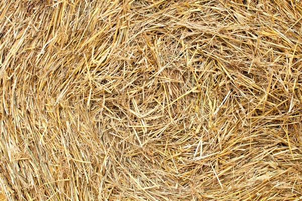 stock image Straw texture background