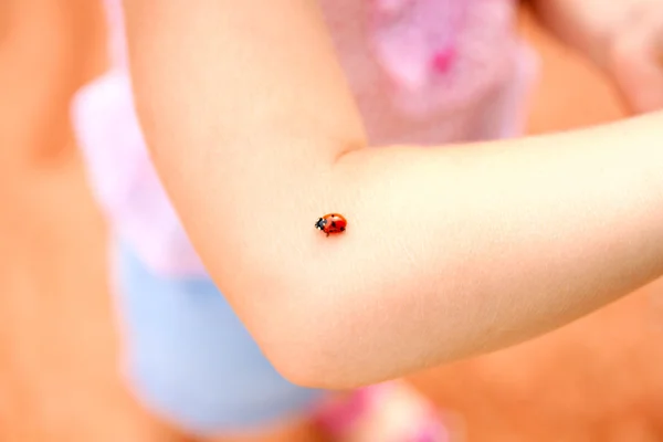 stock image Ladybug on hand