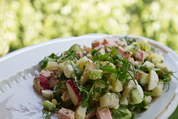 Salada com legumes e salsicha — Fotografia de Stock