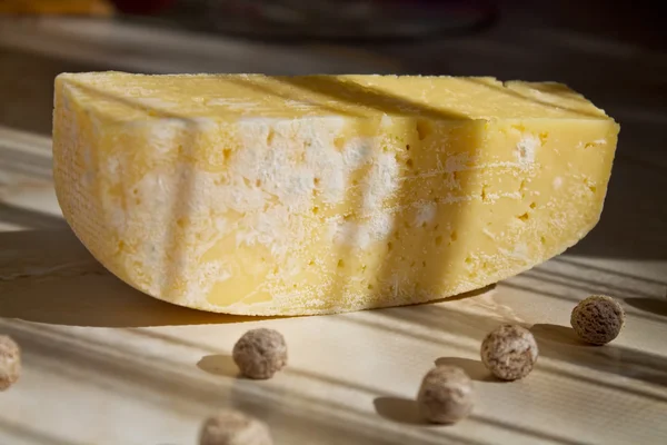 かびの生えたチーズ — ストック写真