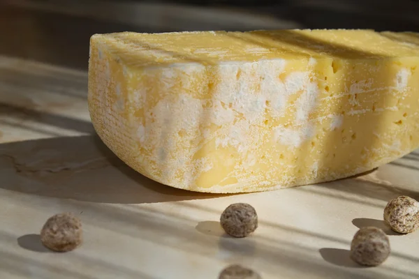 かびの生えたチーズ — ストック写真
