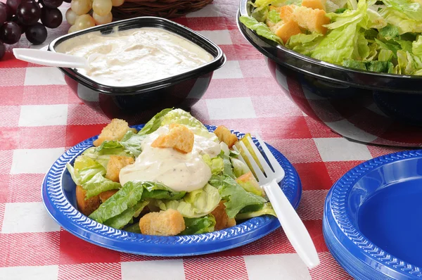 ピクニック テーブルの上のクルトンとグリーン サラダ — ストック写真